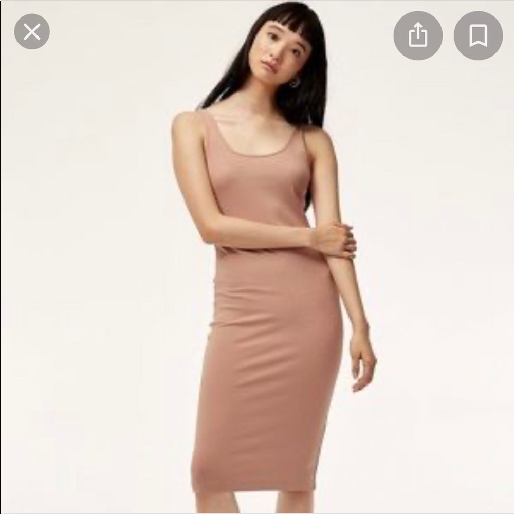 Aritzia Wilfred dress